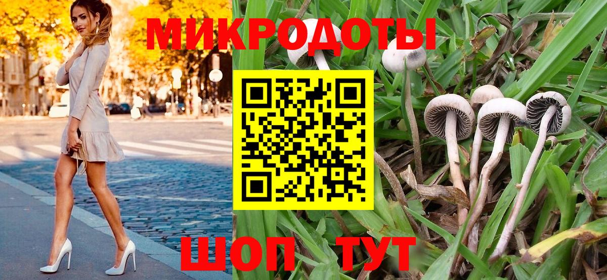 Ревда  где найти наркотики  Вход с VPN  Псилоцибиновые грибы Psilocybe  Псилоцибиновые грибы прущие грибы 